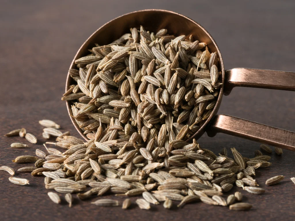 Cumin Seed